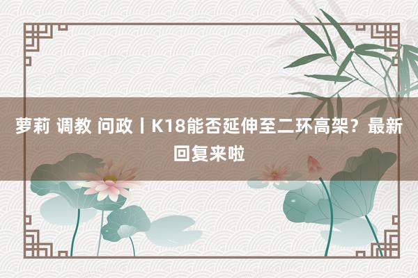 萝莉 调教 问政丨K18能否延伸至二环高架？最新回复来啦