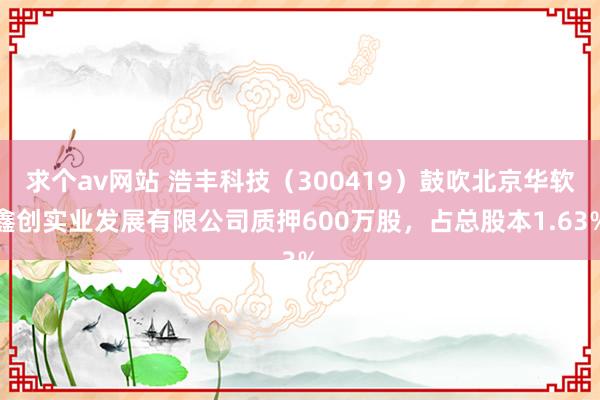 求个av网站 浩丰科技（300419）鼓吹北京华软鑫创实业发展有限公司质押600万股，占总股本1.63%