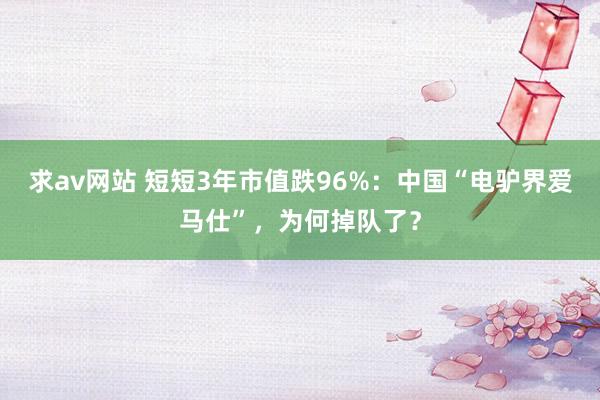 求av网站 短短3年市值跌96%：中国“电驴界爱马仕”，为何掉队了？