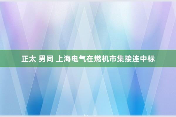 正太 男同 上海电气在燃机市集接连中标