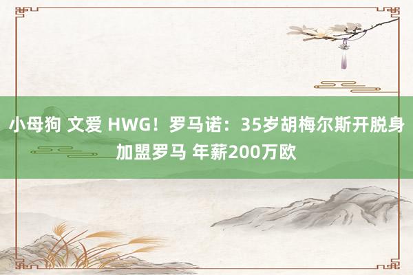 小母狗 文爱 HWG！罗马诺：35岁胡梅尔斯开脱身加盟罗马 年薪200万欧