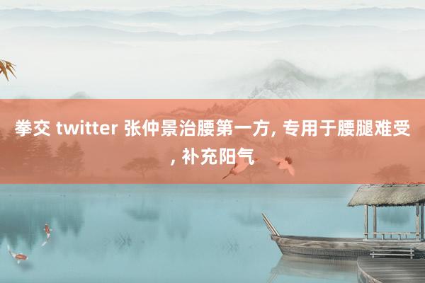 拳交 twitter 张仲景治腰第一方, 专用于腰腿难受, 补充阳气