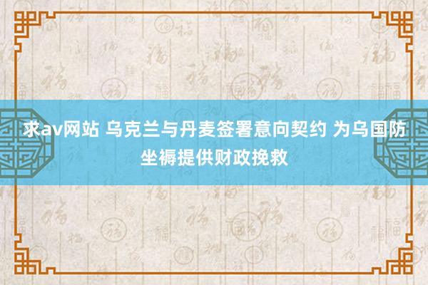 求av网站 乌克兰与丹麦签署意向契约 为乌国防坐褥提供财政挽救