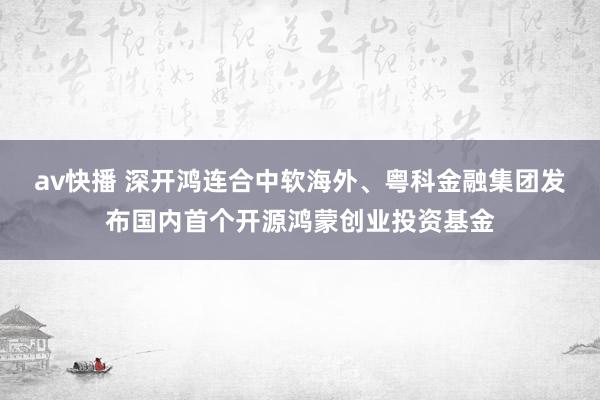 av快播 深开鸿连合中软海外、粤科金融集团发布国内首个开源鸿蒙创业投资基金