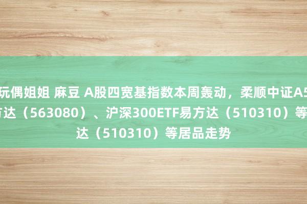 玩偶姐姐 麻豆 A股四宽基指数本周轰动，柔顺中证A50ETF易方达（563080）、沪深300ETF易方达（510310）等居品走势