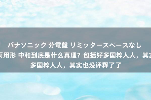 パナソニック 分電盤 リミッタースペースなし 露出・半埋込両用形 中和到底是什么真理？包括好多国粹人人，其实也没评释了了