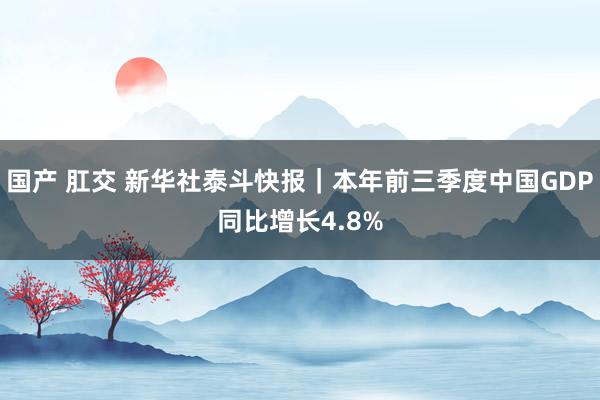 国产 肛交 新华社泰斗快报｜本年前三季度中国GDP同比增长4.8%