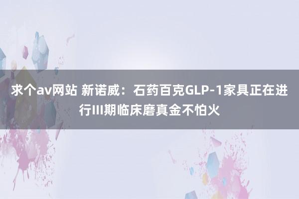 求个av网站 新诺威：石药百克GLP-1家具正在进行III期临床磨真金不怕火