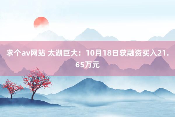 求个av网站 太湖巨大：10月18日获融资买入21.65万元