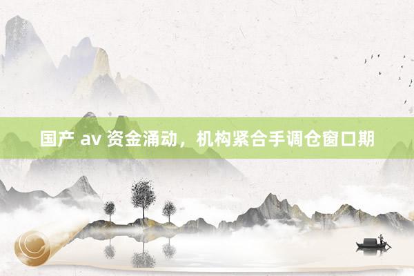 国产 av 资金涌动，机构紧合手调仓窗口期