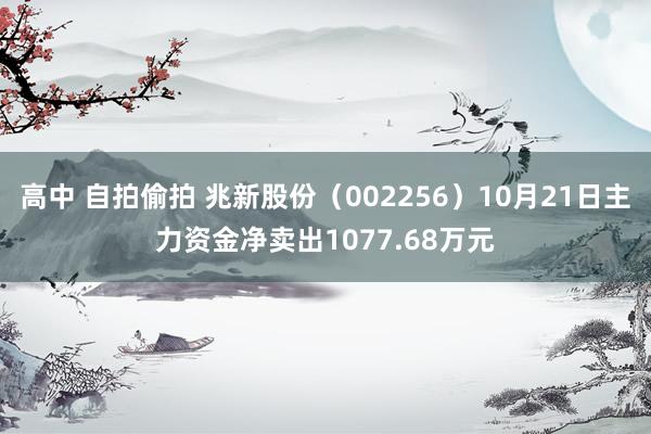 高中 自拍偷拍 兆新股份（002256）10月21日主力资金净卖出1077.68万元