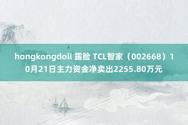 hongkongdoll 露脸 TCL智家（002668）10月21日主力资金净卖出2255.80万元