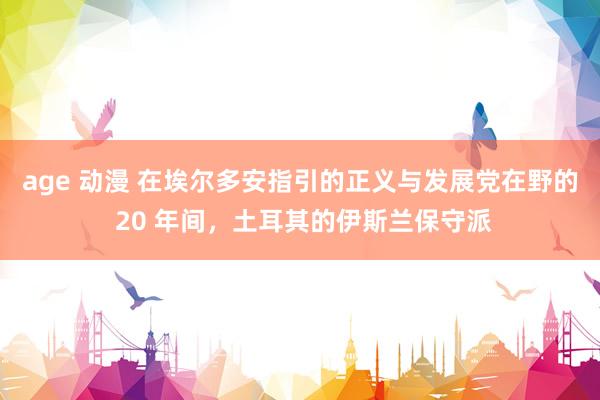 age 动漫 在埃尔多安指引的正义与发展党在野的 20 年间，土耳其的伊斯兰保守派