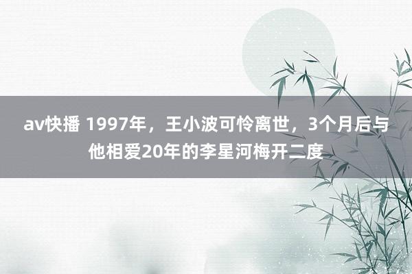 av快播 1997年，王小波可怜离世，3个月后与他相爱20年的李星河梅开二度