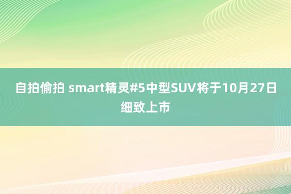 自拍偷拍 smart精灵#5中型SUV将于10月27日细致上市