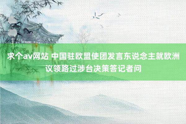 求个av网站 中国驻欧盟使团发言东说念主就欧洲议领路过涉台决策答记者问