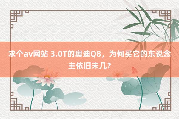 求个av网站 3.0T的奥迪Q8，为何买它的东说念主依旧未几？