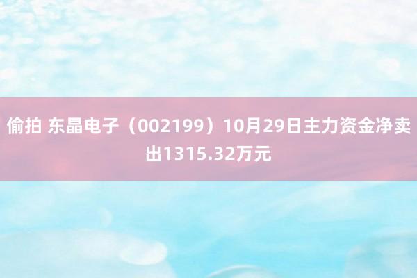 偷拍 东晶电子（002199）10月29日主力资金净卖出1315.32万元