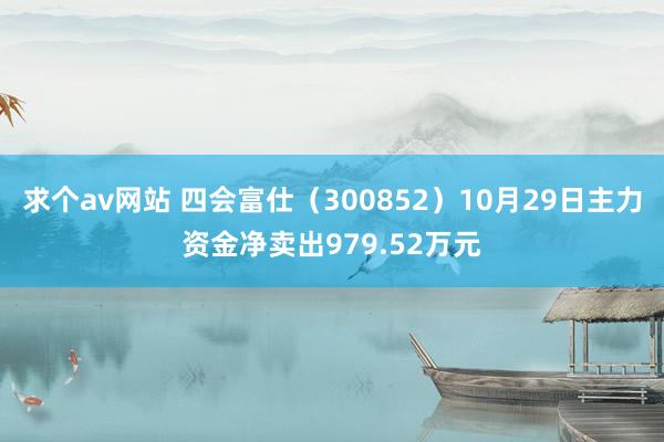 求个av网站 四会富仕（300852）10月29日主力资金净卖出979.52万元