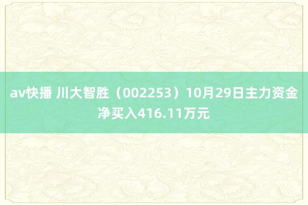 av快播 川大智胜（002253）10月29日主力资金净买入416.11万元