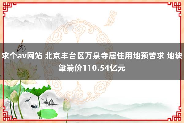 求个av网站 北京丰台区万泉寺居住用地预苦求 地块肇端价110.54亿元