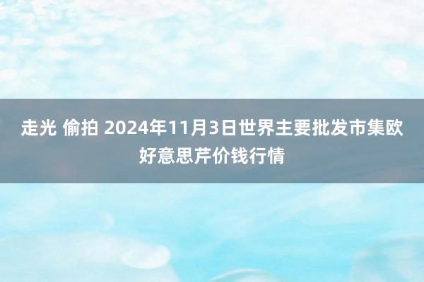 走光 偷拍 2024年11月3日世界主要批发市集欧好意思芹价钱行情