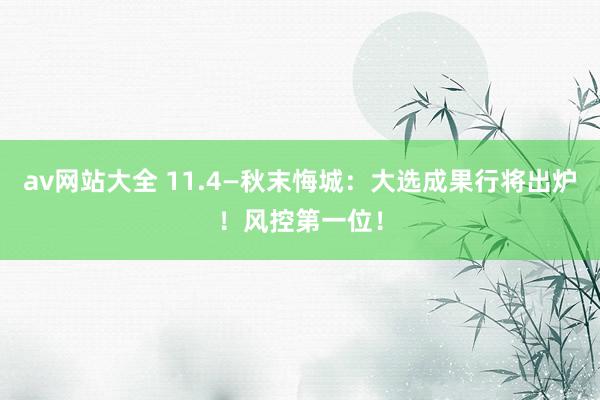 av网站大全 11.4—秋末悔城：大选成果行将出炉！风控第一位！