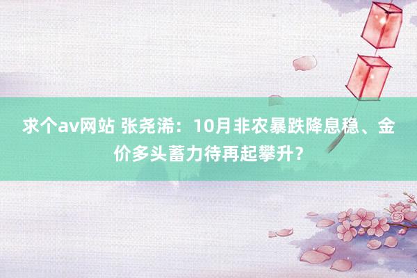 求个av网站 张尧浠：10月非农暴跌降息稳、金价多头蓄力待再起攀升？