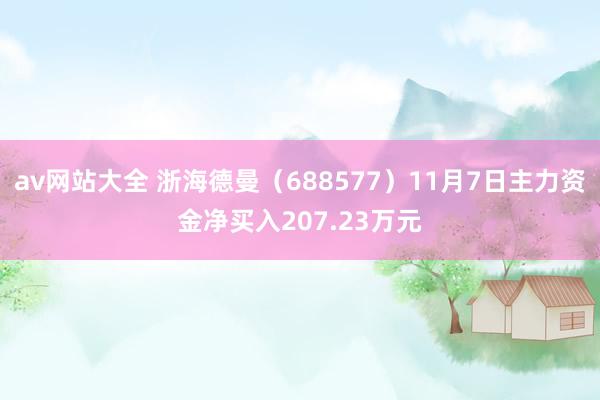 av网站大全 浙海德曼（688577）11月7日主力资金净买入207.23万元