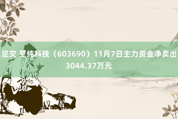 足交 至纯科技（603690）11月7日主力资金净卖出3044.37万元