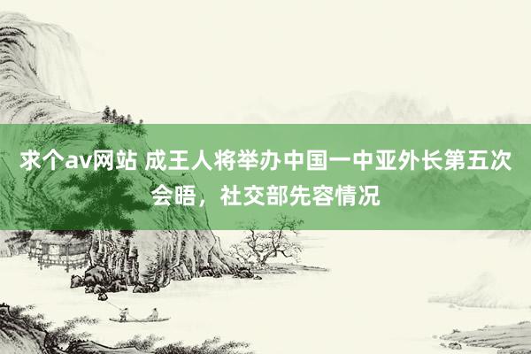 求个av网站 成王人将举办中国一中亚外长第五次会晤，社交部先容情况