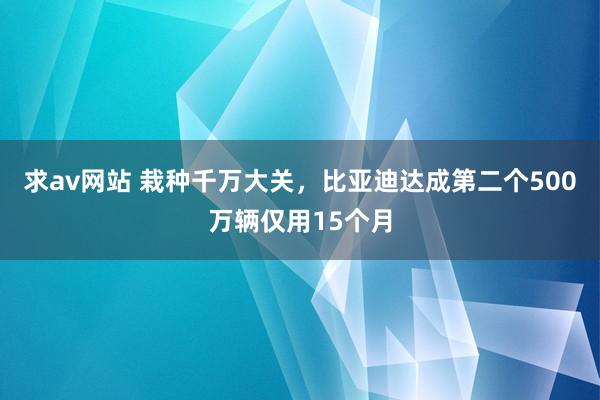 求av网站 栽种千万大关，比亚迪达成第二个500万辆仅用15个月