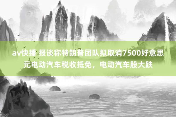 av快播 报谈称特朗普团队拟取消7500好意思元电动汽车税收抵免，电动汽车股大跌