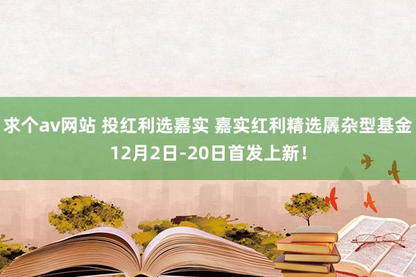 求个av网站 投红利选嘉实 嘉实红利精选羼杂型基金12月2日-20日首发上新！