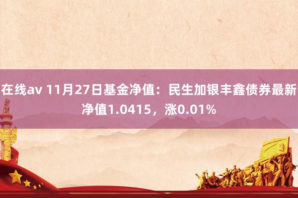 在线av 11月27日基金净值：民生加银丰鑫债券最新净值1.0415，涨0.01%