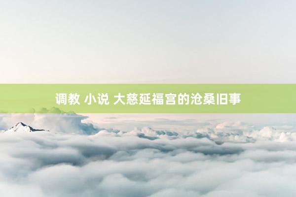 调教 小说 大慈延福宫的沧桑旧事