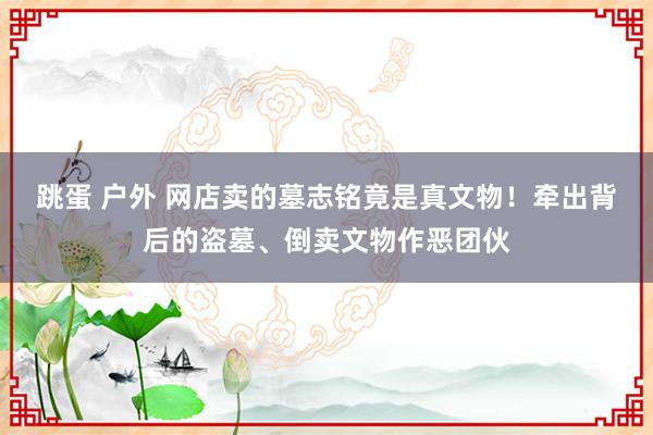 跳蛋 户外 网店卖的墓志铭竟是真文物！牵出背后的盗墓、倒卖文物作恶团伙