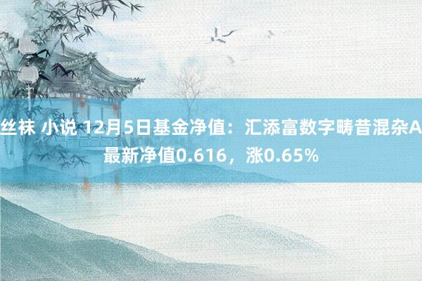 丝袜 小说 12月5日基金净值：汇添富数字畴昔混杂A最新净值0.616，涨0.65%