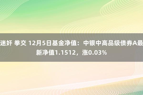 迷奸 拳交 12月5日基金净值：中银中高品级债券A最新净值1.1512，涨0.03%