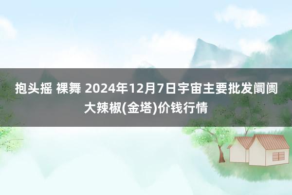 抱头摇 裸舞 2024年12月7日宇宙主要批发阛阓大辣椒(金塔)价钱行情