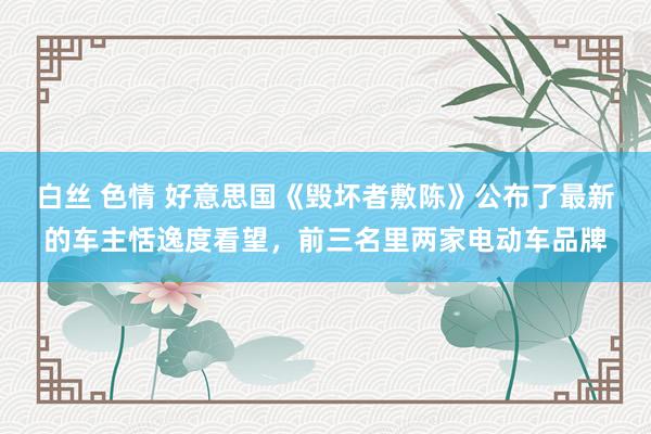 白丝 色情 好意思国《毁坏者敷陈》公布了最新的车主恬逸度看望，前三名里两家电动车品牌