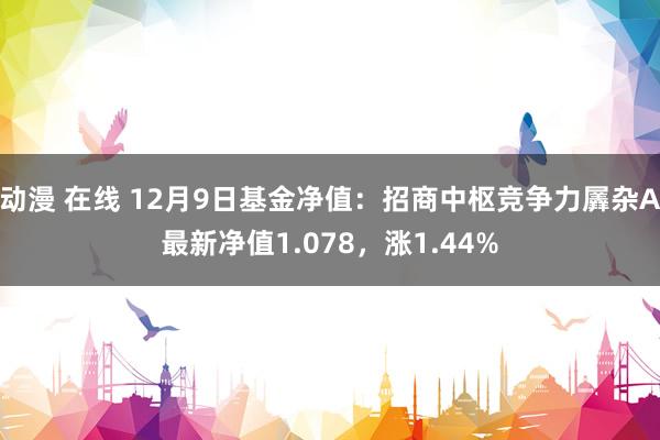 动漫 在线 12月9日基金净值：招商中枢竞争力羼杂A最新净值1.078，涨1.44%