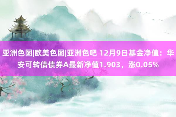 亚洲色图|欧美色图|亚洲色吧 12月9日基金净值：华安可转债债券A最新净值1.903，涨0.05%