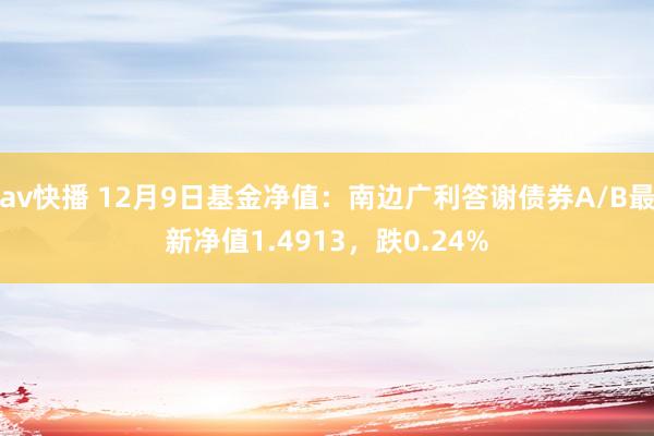 av快播 12月9日基金净值：南边广利答谢债券A/B最新净值1.4913，跌0.24%