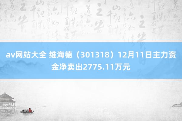 av网站大全 维海德（301318）12月11日主力资金净卖出2775.11万元