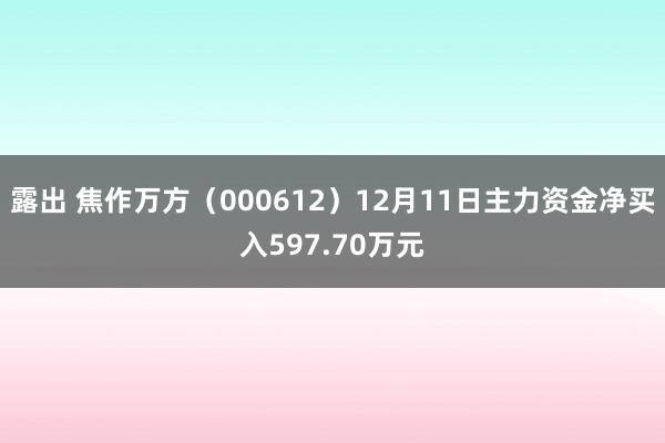 露出 焦作万方（000612）12月11日主力资金净买入597.70万元