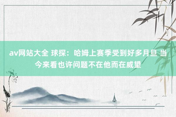 av网站大全 球探：哈姆上赛季受到好多月旦 当今来看也许问题不在他而在威望