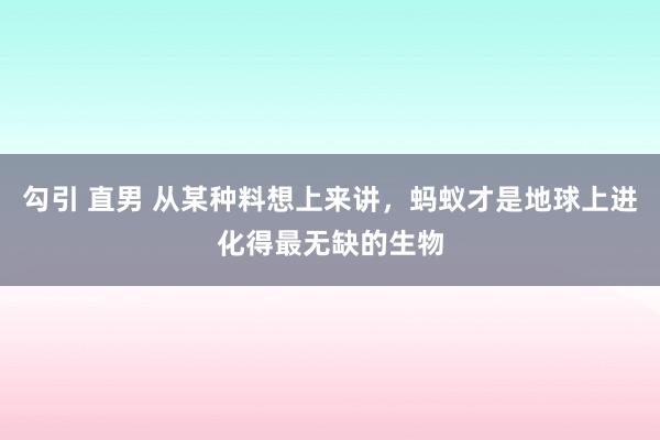 勾引 直男 从某种料想上来讲，蚂蚁才是地球上进化得最无缺的生物