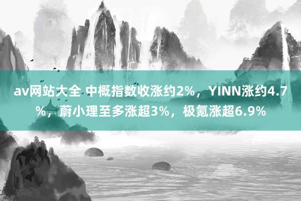 av网站大全 中概指数收涨约2%，YINN涨约4.7%，蔚小理至多涨超3%，极氪涨超6.9%