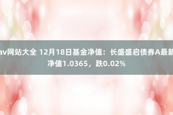 av网站大全 12月18日基金净值：长盛盛启债券A最新净值1.0365，跌0.02%